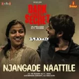 Njangade Naattile Manikandan Perumpadappu