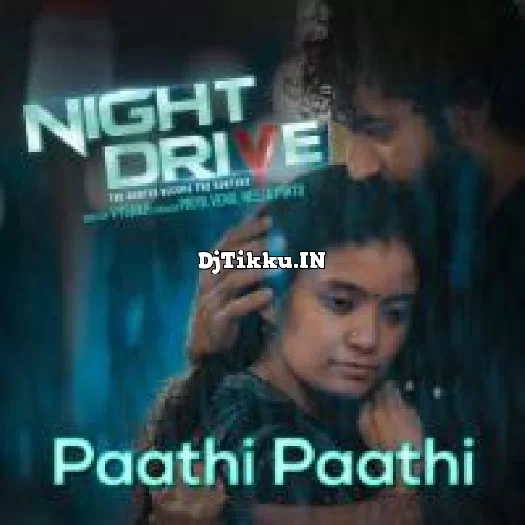 Paathi Paathi  From Night Drive  Ranjin Raj Kapil Kapilan Nithya Mammen